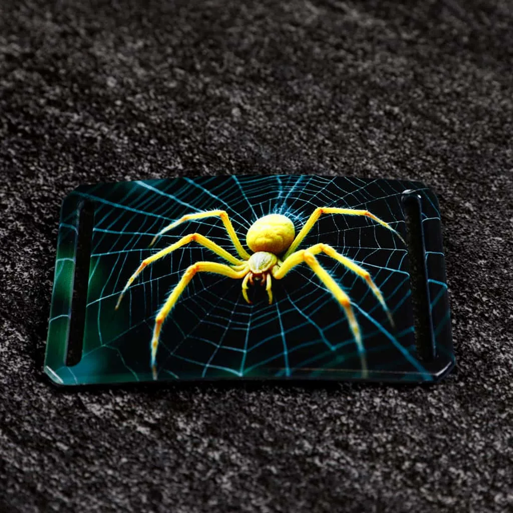 Arachnophobia Halloween Buckle